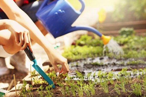 Patio cleaning in Shacklewell removing moss and dirt from paving