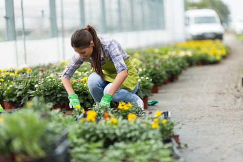 Professional local gardeners working in Shacklewell