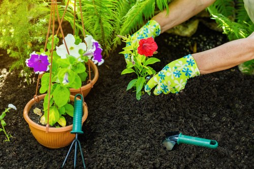 Gardeners Shacklewell improving a local front garden