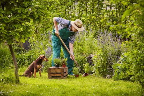 Reviewing a garden service complaint and work records