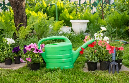 Seasonal garden care and tidy-up in a Shacklewell outdoor space