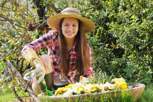 Healthy green lawn care in Shacklewell garden