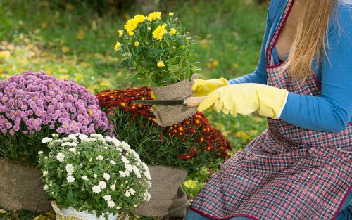 Professional gardener following health and safety procedures