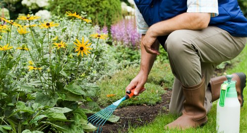 Sustainable gardening and recycling work in a Shacklewell garden