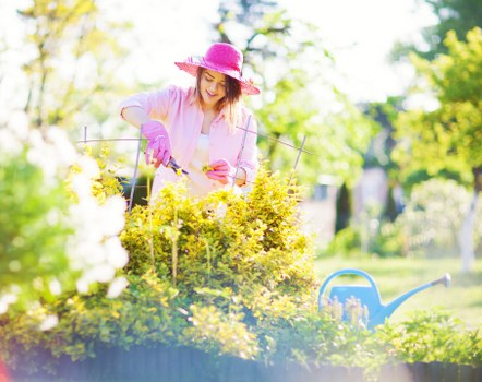 Low-maintenance garden improvements by Shacklewell gardening services