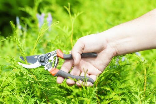 Organic garden waste separated for reuse and composting