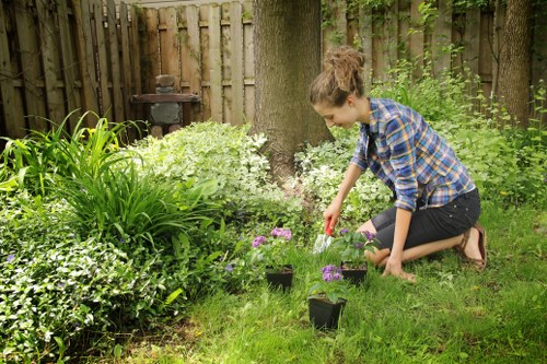 Weed control and border maintenance in a Shacklewell backyard
