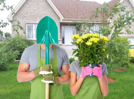 Professional trimming and clearance of an untidy garden