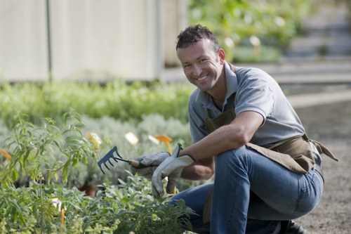 Professional hedge maintenance for a tidy Shacklewell residential garden