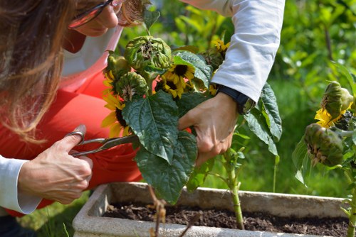 Waste regulations and liability terms for garden work
